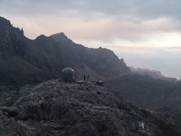 Recogida Picos de Europa