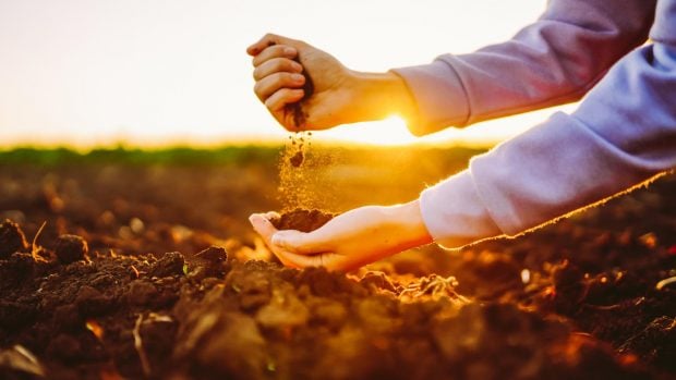 tierra agricultura