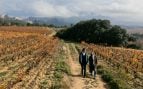 Zamora Company empresa consciente