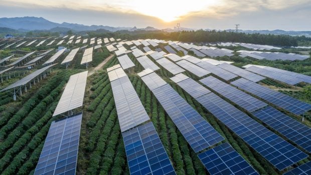 Sistema agrovoltaico en China.