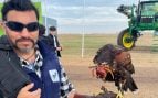 aves rapaces y drones para el control biológico de las plagas
