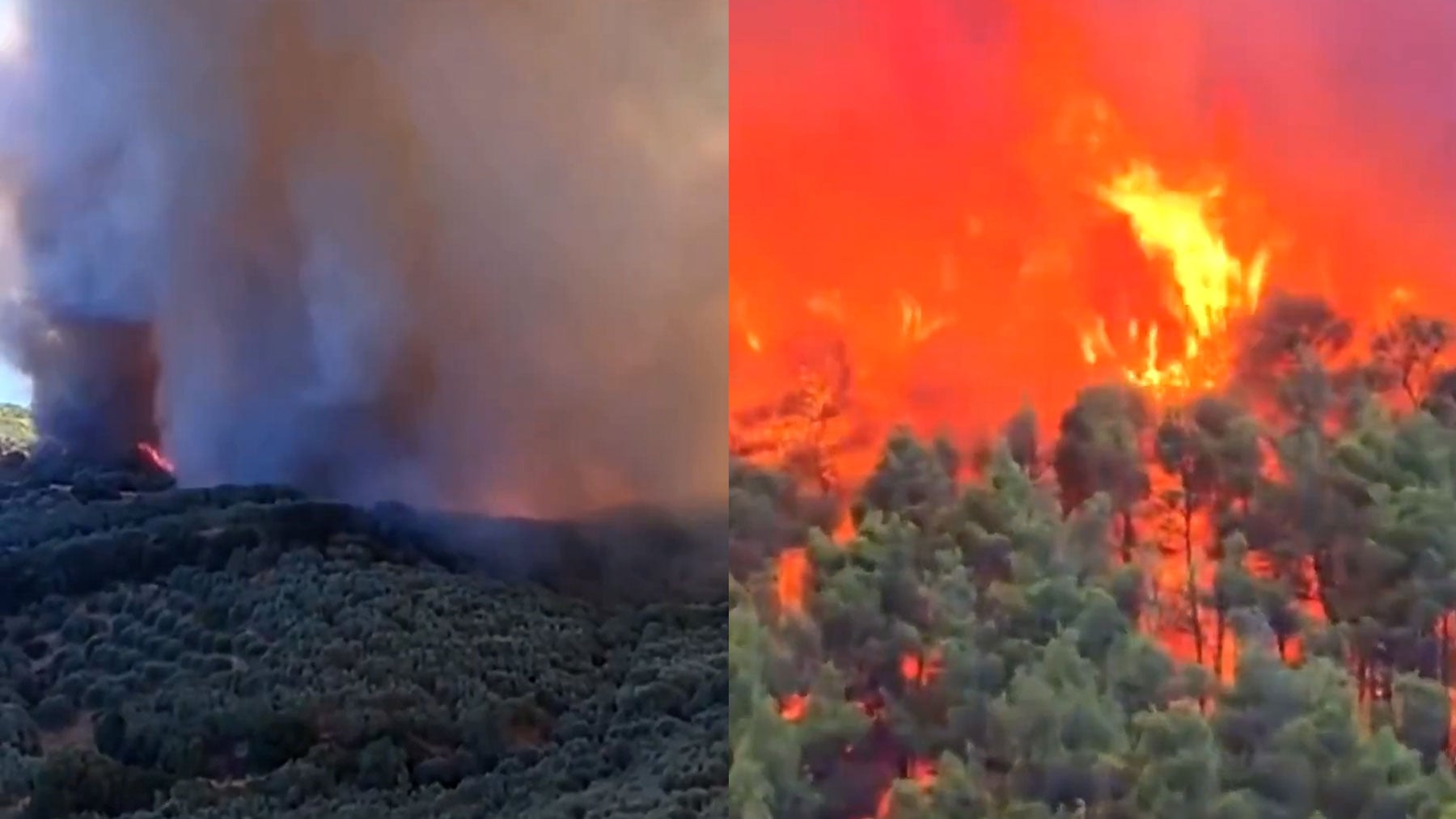 El devastador incendio de Grecia deja 5 muertos, arrasa 12.000 hectáreas y se acerca a Atenas