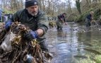 Limpian río Roding, multa por limpiar río Roding, voluntarios limpian río Roding.