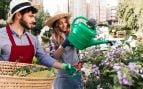 Plantas, regar, flora, curiosidades