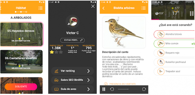 aplicacion SEO