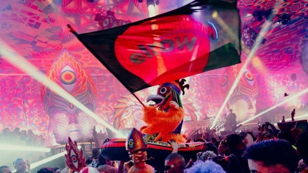 elrow Son Fusteret