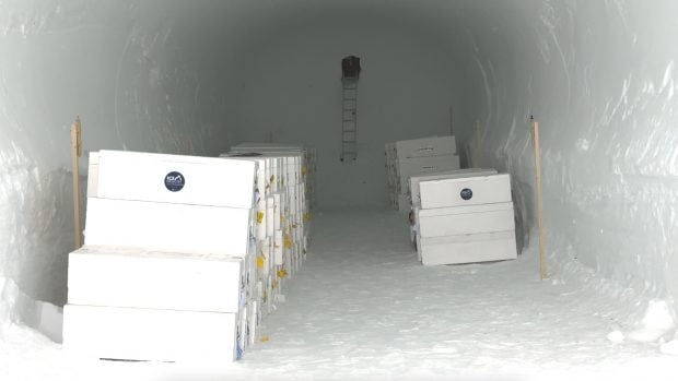 Instalaciones del Santuario Ice Memory. Cedida por la Ice Memory Foundation.