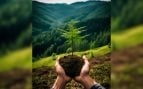 Reforestación. Foto: Magnific