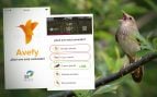 shazam-para-pájaros-Interior