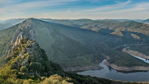 biomasa bosque españa