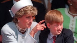 La Princesa Diana de Gales y el príncipe Guillermo. (EuropaPress)