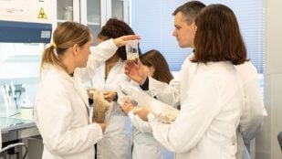 El equipo de Visibuilt analiza muestras de micelio en el laboratorio, durante el desarrollo del aglutinante. Foto: Visibuilt.