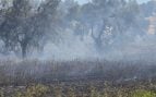 Incendio