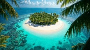 Paisaje paradisíaco de una isla con el océano de fondo. Fotografía: Magnific