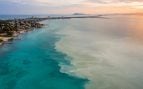 Mar Menor, naturaleza, ciencia