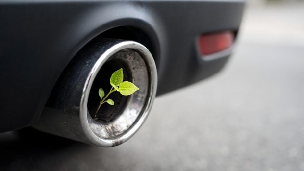 tubo de escape brote verde