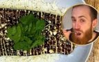 preparar berenjenas