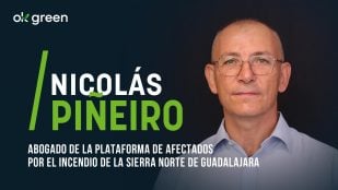 entrevista-okgreen-nicolas-pineiro