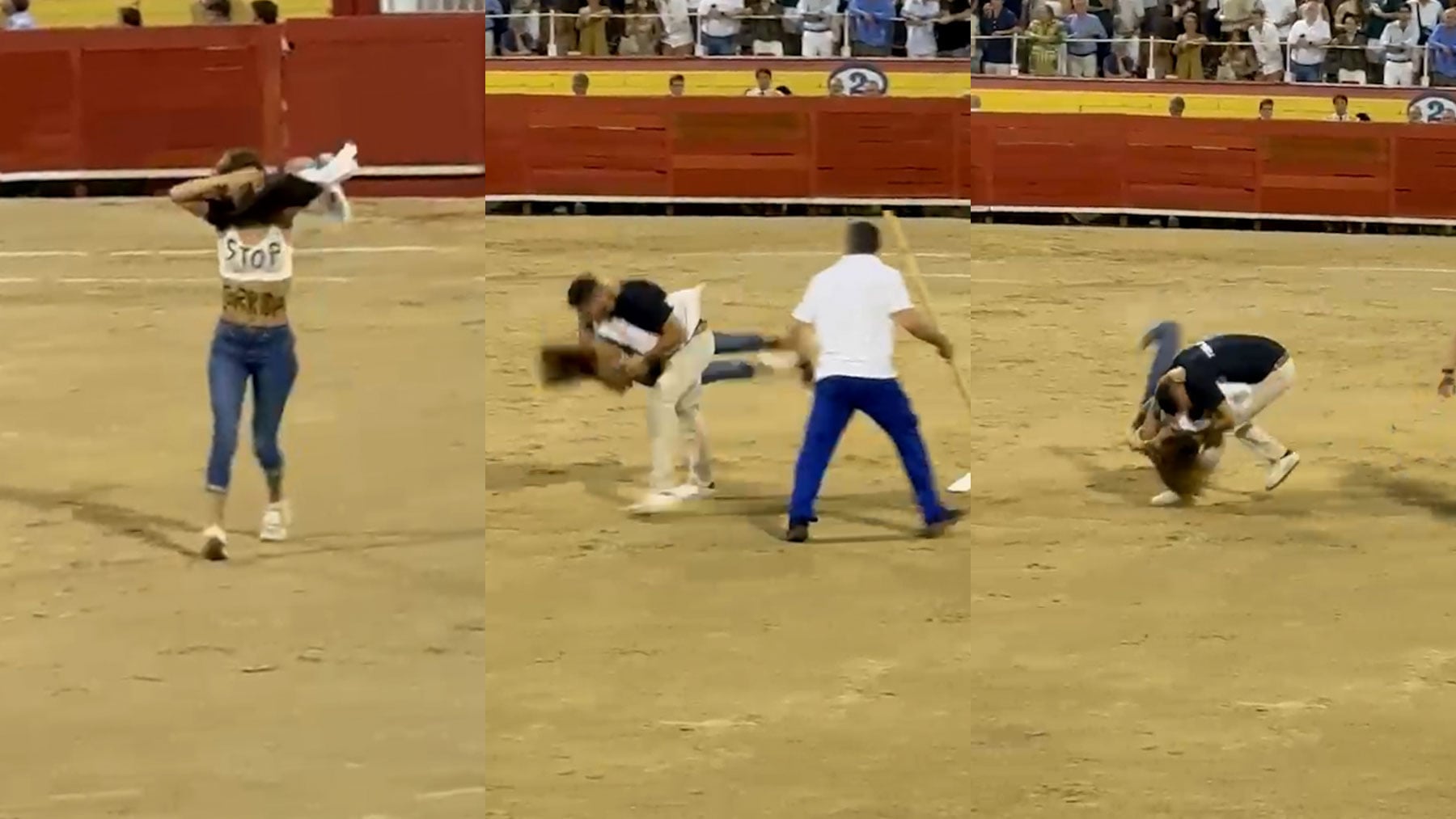 Una llave de judo acaba con el espectáculo bochornoso de una espontánea animalista en la plaza de toros de Palma