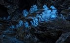 Hongos, ciencia, naturaleza