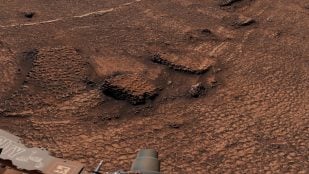 Primer plano de las fracturas poligonales descubiertas por el rover Curiosity de la NASA en Marte, que muestra su textura similar a un panal. Foto: NASA/JPL-Caltech/MSSS