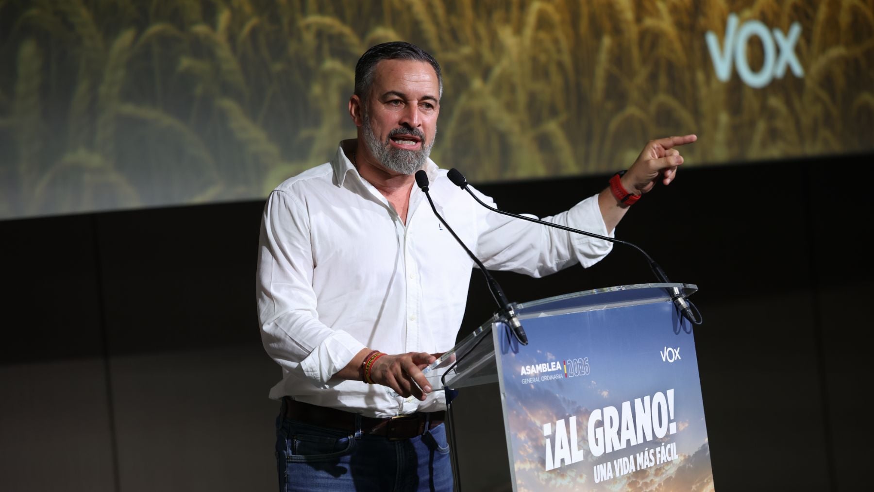 Vox promueve activar el artículo 102 de la Constitución para investigar a Sánchez por delito de traición