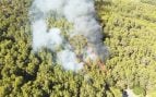 Palma incendio