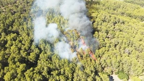 Imagen del incendio del Puig de Son Muntaner.