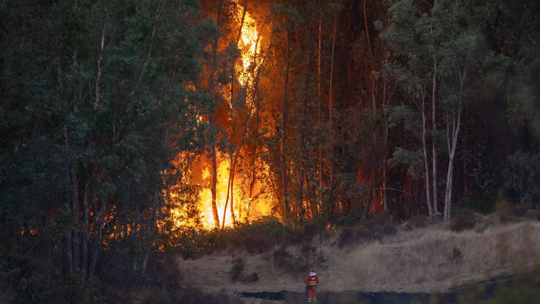 La UME se suma al incendio de Niebla (Huelva) que continúa activo con 340 personas desalojadas