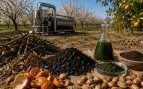 Residuos agrícolas y microalgas, cómo usar microalgas en agricultura, invento andaluz para crear fertilizante sostenible.