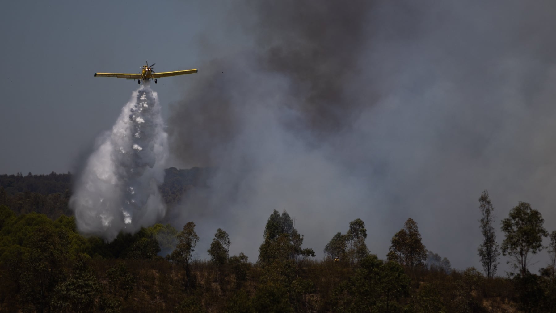 La UME se suma al incendio de Niebla (Huelva) que continúa activo con setenta personas en alejamiento preventivo