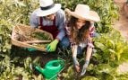 Agricultores, agricultura, autónomos, vacaciones
