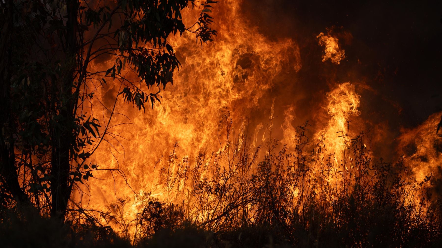 El incendio de Niebla (Huelva) se descontrola: ya recorre 20.000 hectáreas y queda fuera de capacidad de extinción