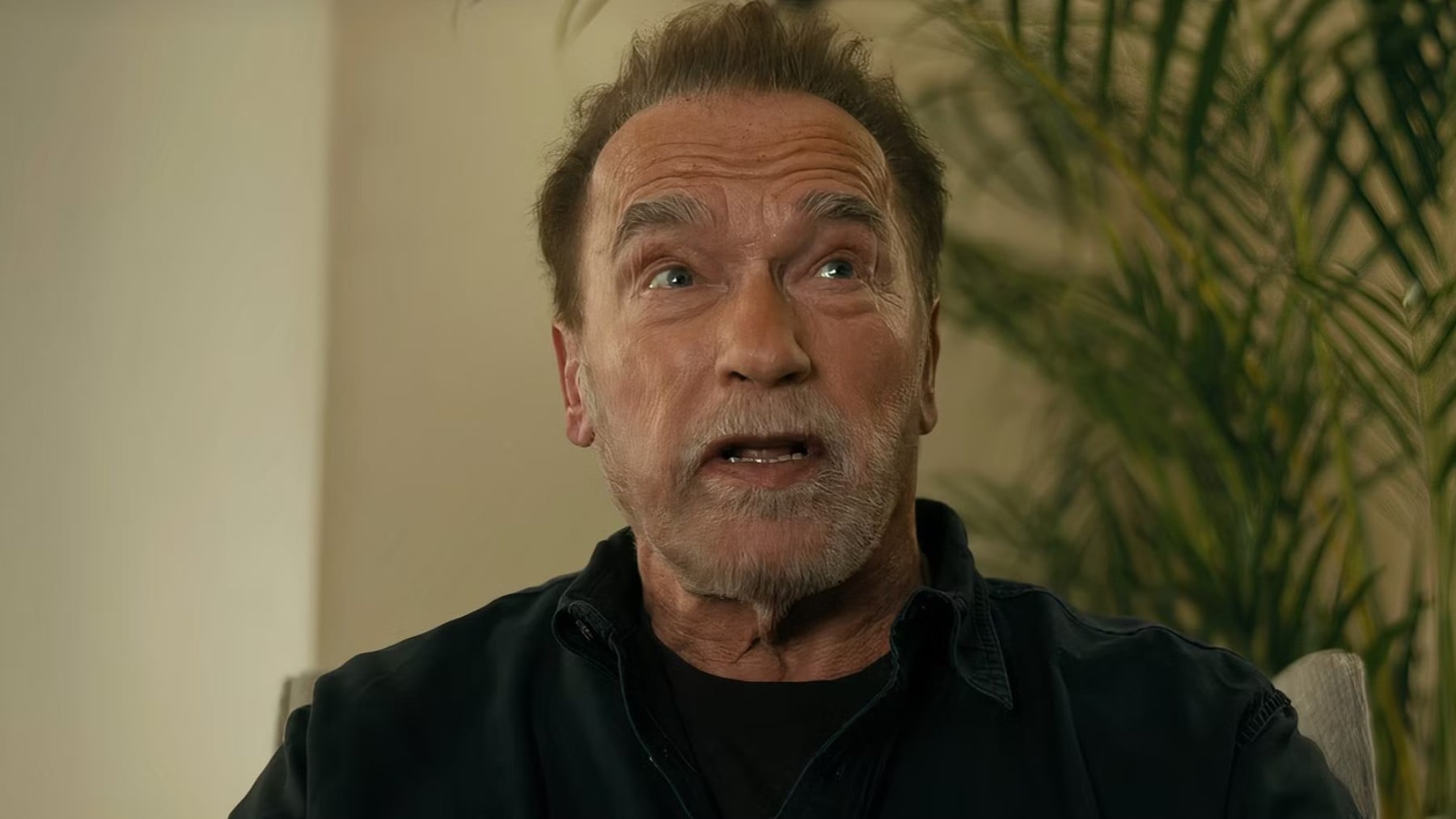 ‘Fubar’ (Netflix).