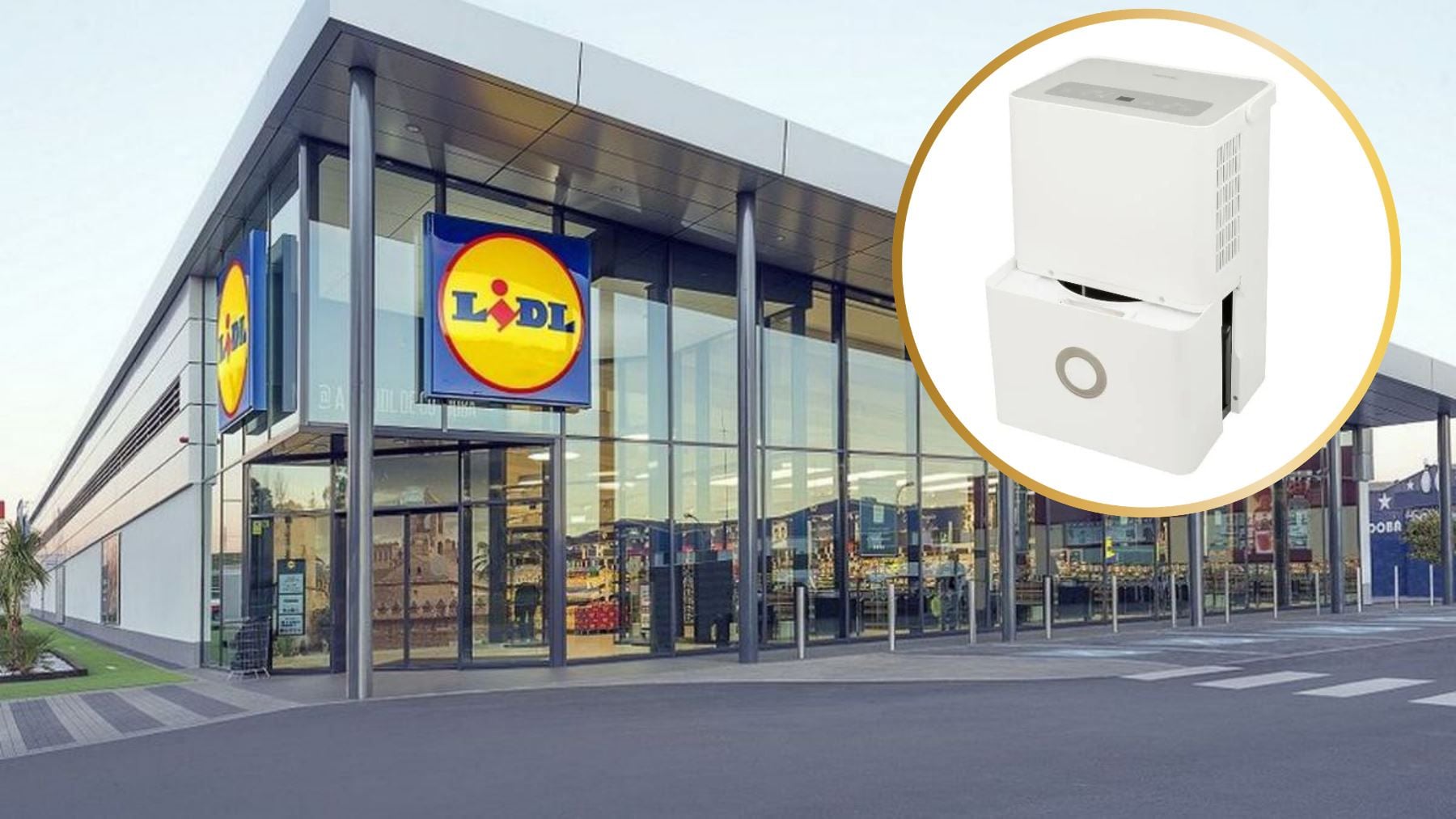 El producto de Lidl que dice adiós a la humedad y a los malos olores: una solución eficaz por un precio soñado