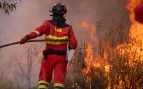 Incendio forestal