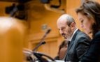 Rollán Gobierno Senado