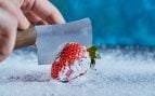 congelador hielo
