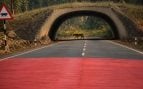 India pintar de rojo una carretera