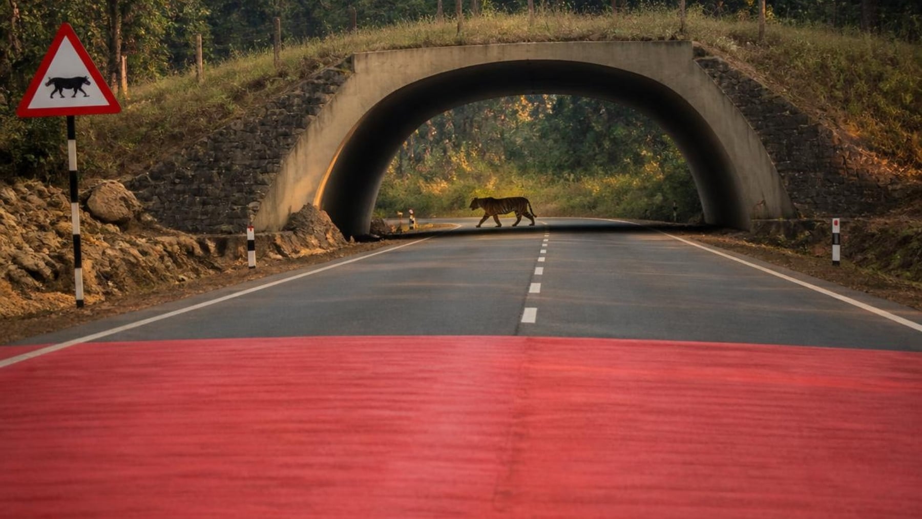 Carretera pintada de rojo (IA).