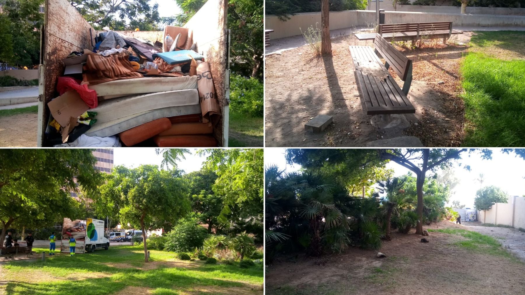 El Ayuntamiento de Palma limpia en tiempo récord el