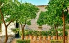 planta frutal