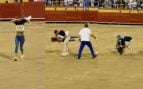 Activista animalista palma