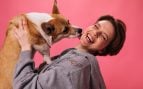 Perro, animales, mascotas