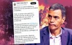 Pedro Sánchez