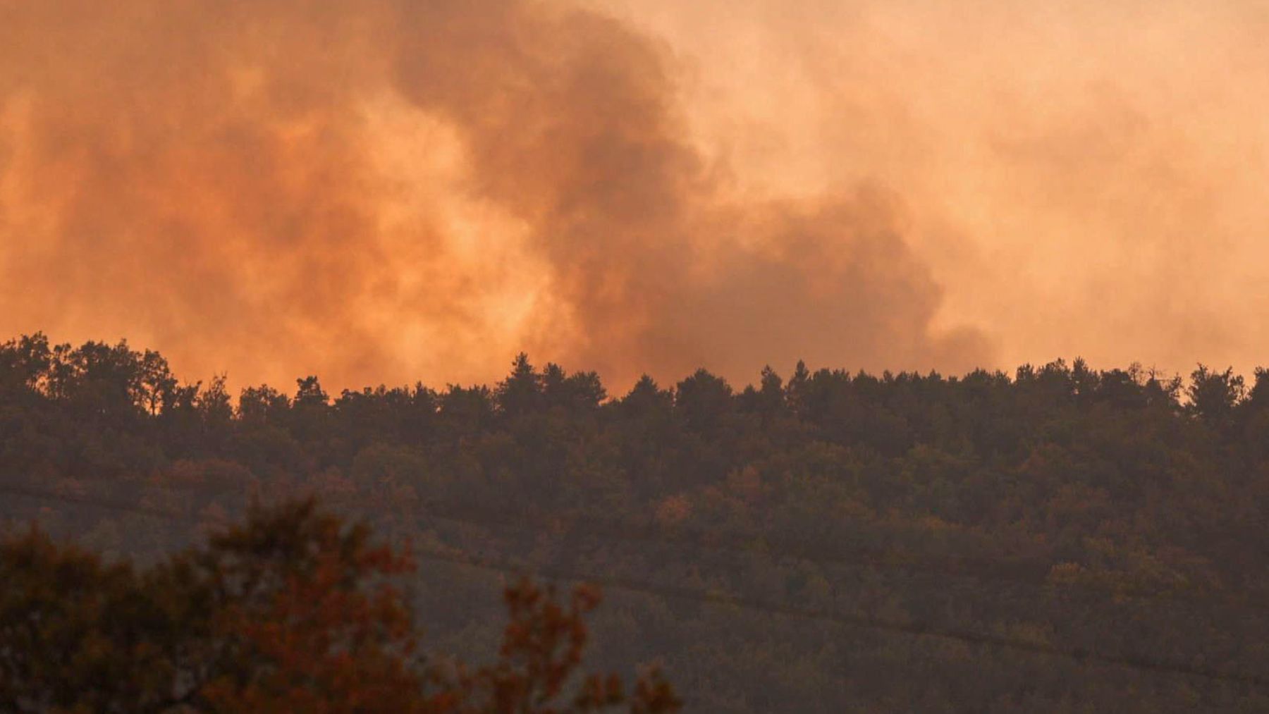 Más de 1.000 desalojados y un detenido por el incendio de Huesca que afecta ya a 16.600 hectáreas