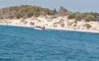 Llegada Inmigrantes Baleares