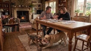 "Dos gatos y un ratón, dos personas bajo el mismo techo y dos perros ante un hueso, pocas veces terminan poniéndose de acuerdo" (Imagen hecha con IA).