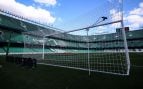 Real Betis Balompié