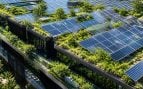 Techo biosolar